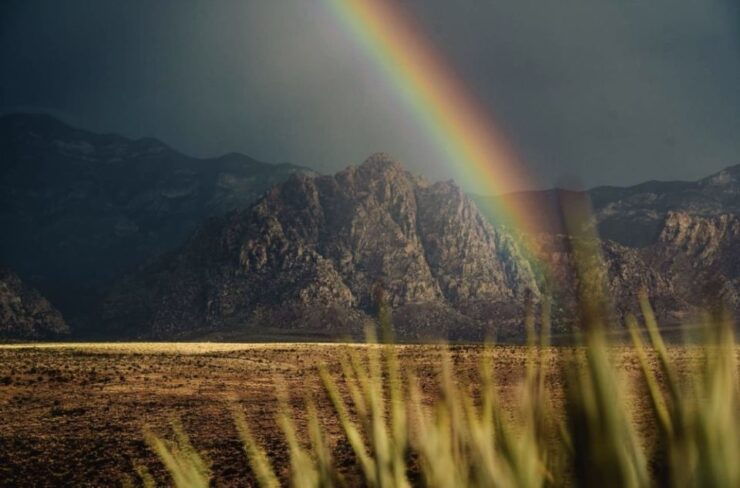 Red Rock Canyon Sign& Seven Magic Mountains Tour - Tour Description