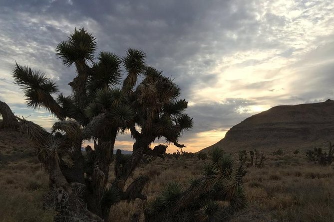 Red Rock Canyon Sunset Horseback Ride and Barbeque - Experience Highlights