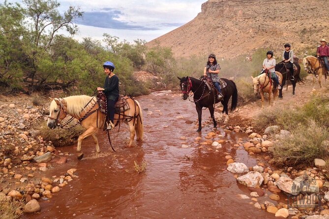 Red Rock Canyon Sunset Horseback Ride and Barbeque - Recommendations