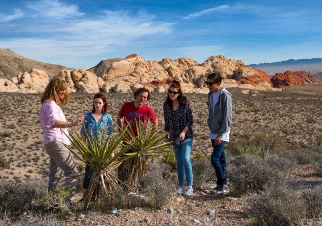 Red Rock Canyon W/Rocky Gap 4x4 Adventure - Scenic Loop Drive