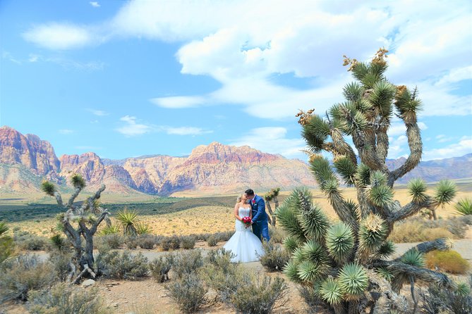 Red Rock Canyon Wedding by Private Limousine - Pickup and Logistics