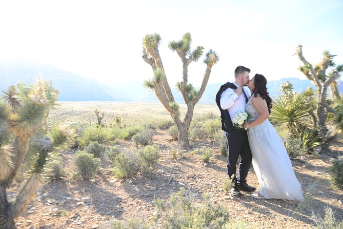 Red Rock Canyon Wedding by Private Limousine - Customer Reviews and Overall Experience