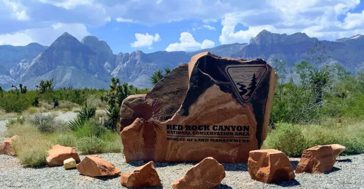 Red Rock Canyon & Whimsical World of Cactus Joe's Lunch - Activity Highlights