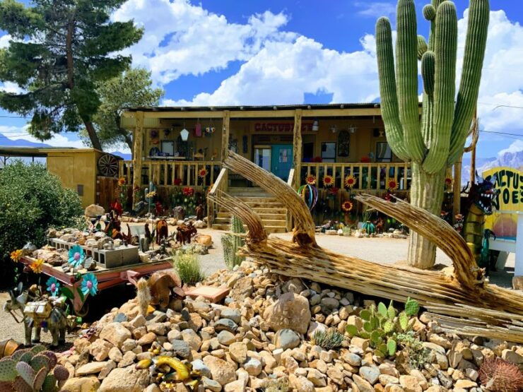 Red Rock Canyon & Whimsical World of Cactus Joe's Lunch - Availability and Itinerary