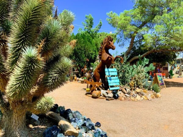 Red Rock Canyon & Whimsical World of Cactus Joe's Lunch - Testimonial and Contact Information