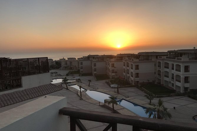 Red Sea and El Ein Sohkna Beach Full-Day Trip From Cairo - Feedback and Recommendations