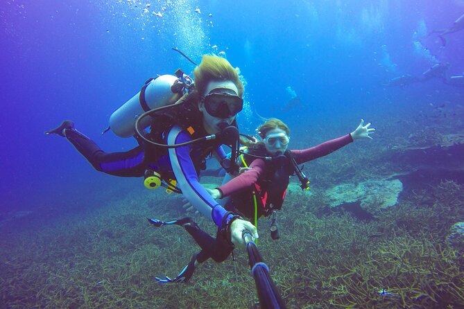 Red Sea Beginners Scuba Dive Tour With PADI Guide (Feb ) - Inclusions and Activities Provided