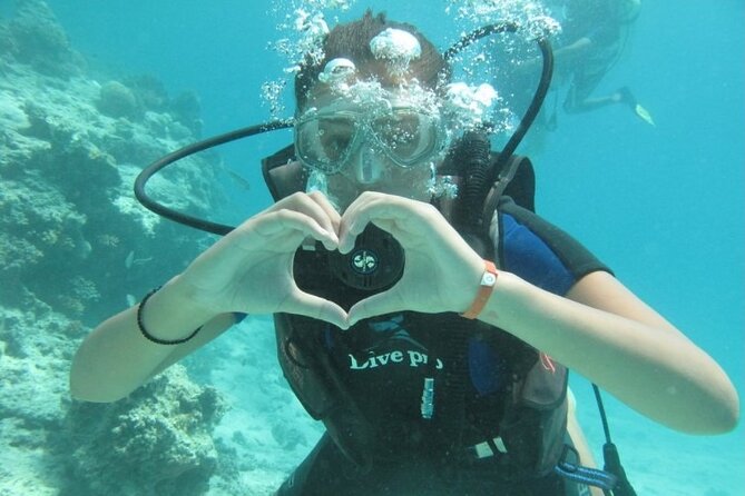 Red Sea Diving Trip From Hurghada: Beginner to Advanced Divers - Tour Overview