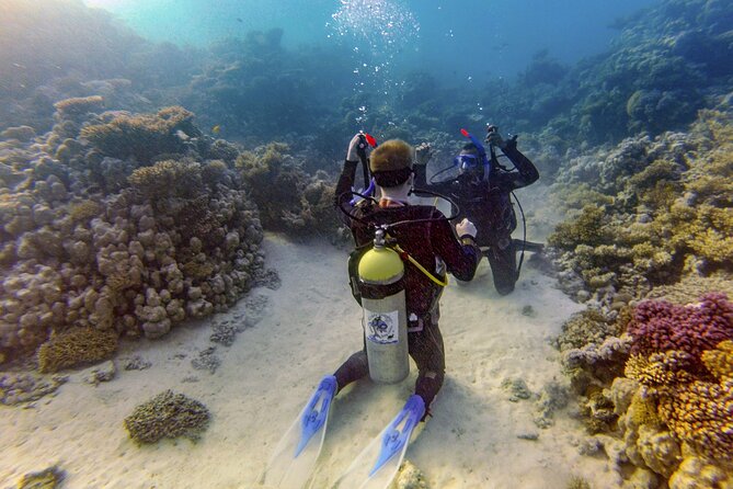 Red Sea Diving Trip From Hurghada: Beginner to Advanced Divers - Customer Reviews and Recommendations