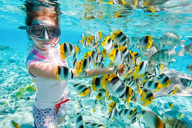 Red Sea Snorkeling Day Trip by Boat From Hurghada - Whats Included