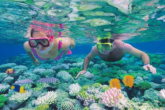 Red Sea Snorkeling From Hurghada - Recommendations and Criticisms