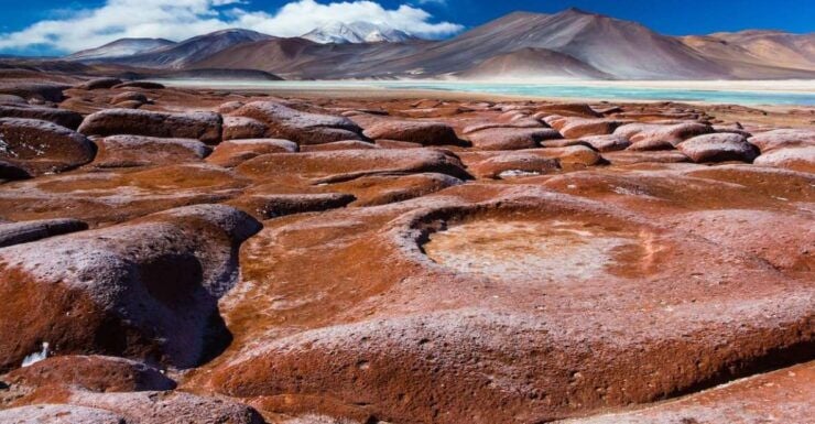 Red Stones, Altiplanic Lagoons and Chaxa (Atacama Saltflat) - Activity Details