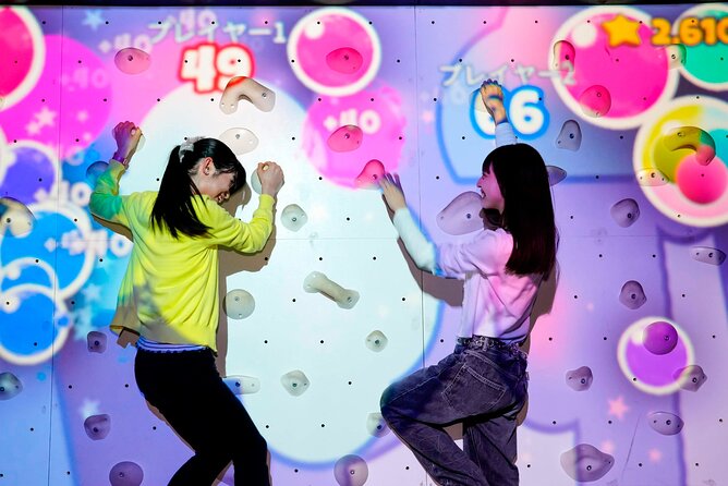 Red Tokyo Tower Passport - Admission and Entry Details