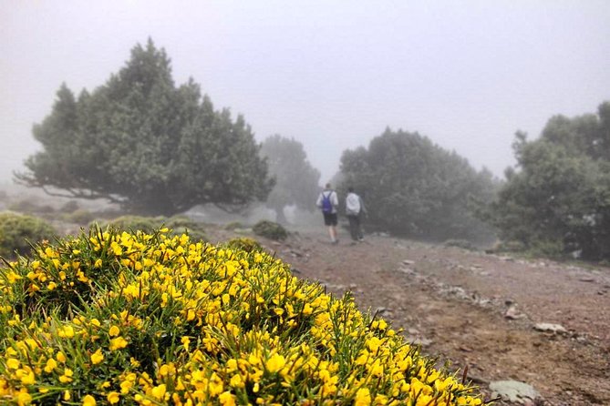 RED VALLEY( Azzaden ) 2 DAY TREK in Atlas Mountains - Itinerary Day 2