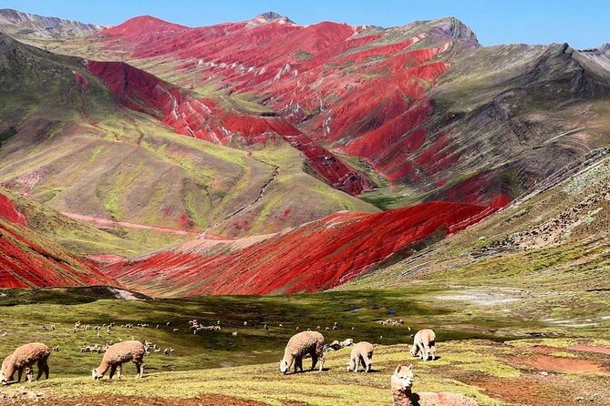Red Valley Cusco - Full Day Tour - Pricing and Booking Details