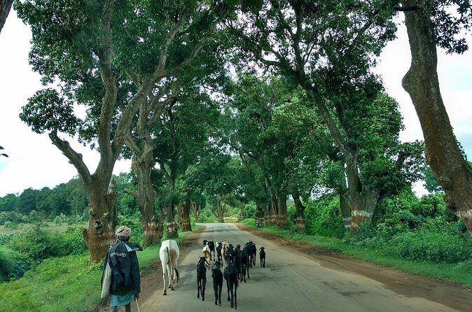 Rediscover Chandor, forgotten capital of Goa - The Sum Up