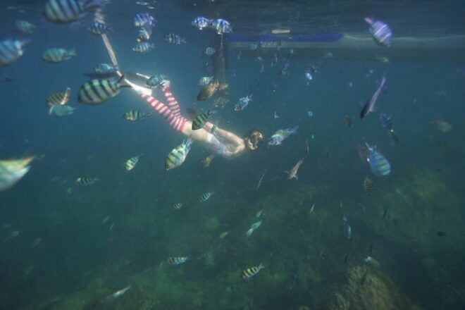 RedRiverTour - Discovery 3 Islets, Snorkeling By Speedboat - Lunch Menu and Inclusions