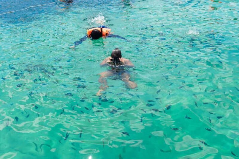 RedRiverTour - Discovery 3 Islets, Snorkeling By Speedboat - An In-Depth Look at the Tour Experience