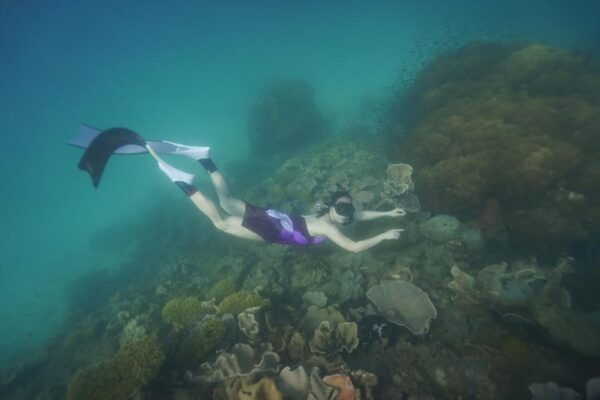 RedRiverTour-Discovery 3 Islets, Snorkeling &Fishing By Boat - Contact Information