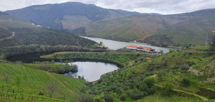 Reduced Mobility Visit the Douro Valley From Porto - Tour Details