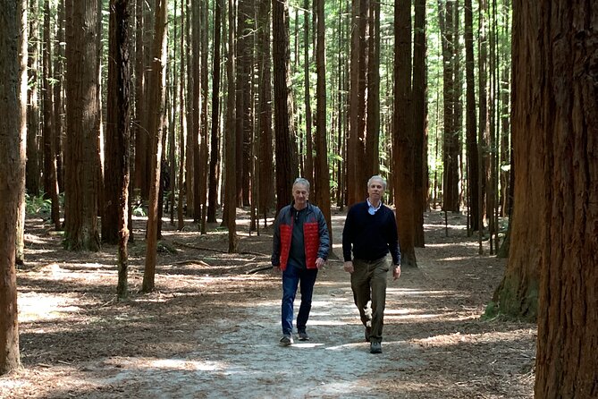 Redwood Forest , Blue Springs & Huka Falls Day Tour From Auckland - Book Your Day Tour Now