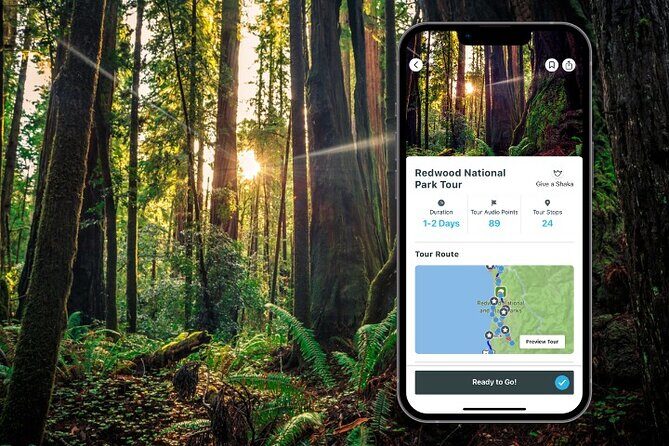 Redwood National Park Self-Guided Audio Tour - A Deep Dive into the Itinerary