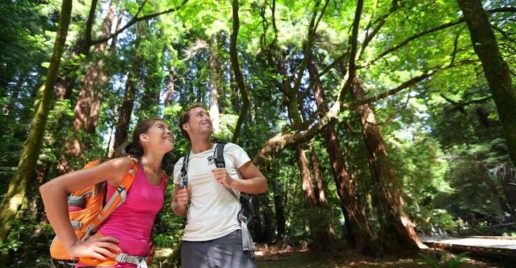 Redwood Retreat: Tour to Muir Woods From San Francisco - Full Tour Description