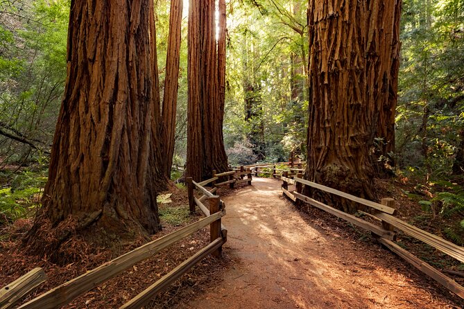 Redwood Retreat: Tour to Muir Woods From San Francisco - Tour Overview