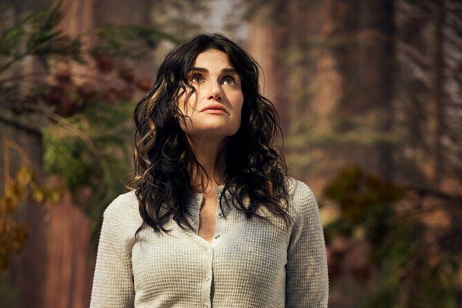 Redwood Starring Idina Menzel on Broadway Ticket - A Deep Dive into the Redwood Broadway Experience