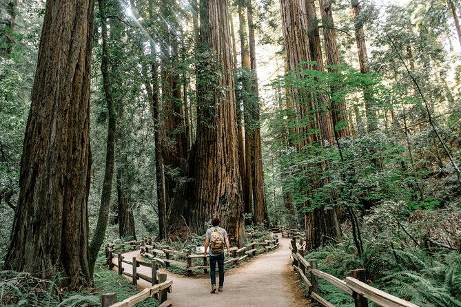Redwoods Full-day Private Tour and Hike - Good To Know