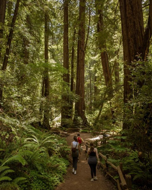 Redwoods Full Day Private Tour and Hike - Full Description