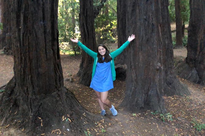 Redwoods of Marin and Mt. Tamalpais Walking Tour With Local Guide - Experience the Majestic Redwood Trees
