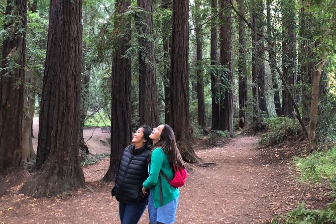 Redwoods of Marin and Mt. Tamalpais Walking Tour With Local Guide - Inclusions for the Walking Tour