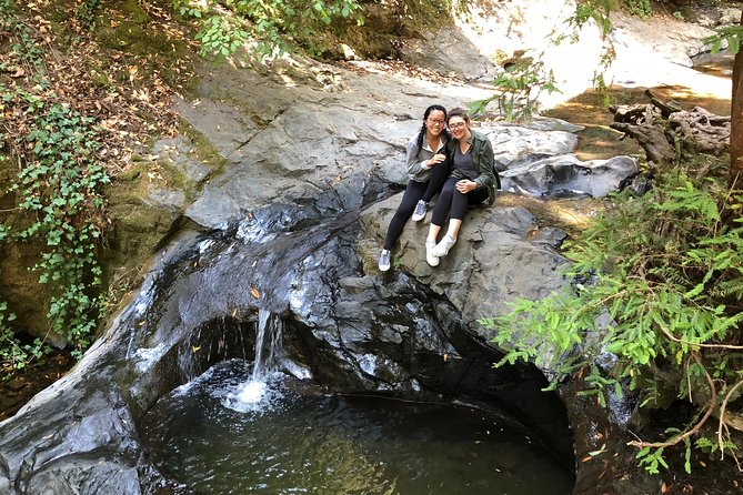 Redwoods of Marin and Mt. Tamalpais Walking Tour With Local Guide - Authentic Reviews of the Tour