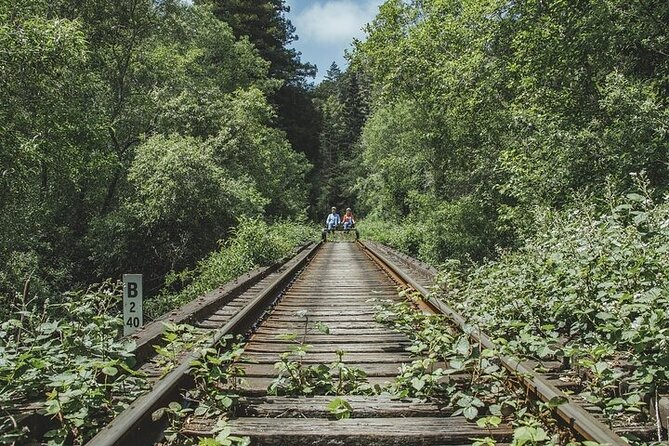 Redwoods Railbike Along Pudding Creek - Electric-Assisted Railbiking