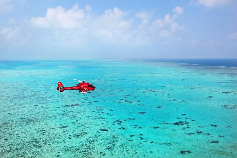 Reef and Rainforest Helicopter Flight from Cairns or Port Douglas - What the cabin and service may be like