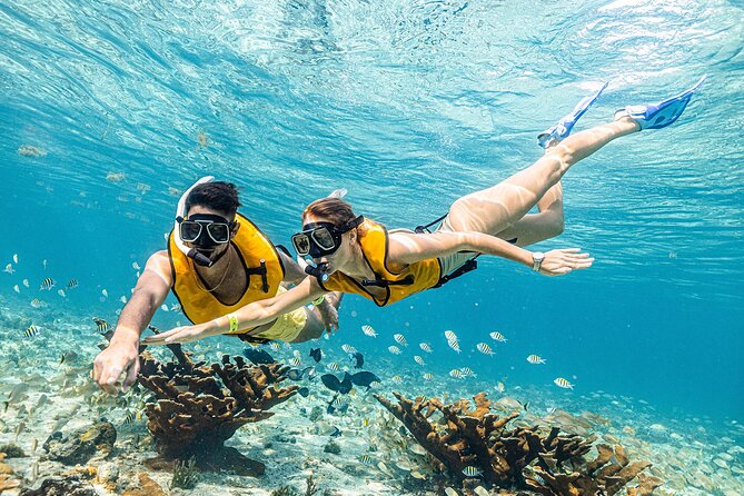 Reef and Shipwreck Snorkeling Tour in Cancun - Inclusions