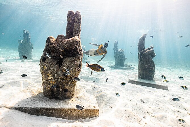 Reef and Shipwreck Snorkeling Tour in Cancun - Reviews and Recommendations