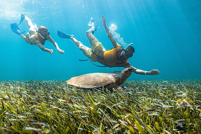 Reef and Shipwreck Snorkeling Tour in Cancun - Best Time to Go
