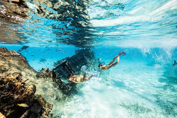 Reef and Shipwreck Snorkeling Tour in Cancun - Tips for a Great Snorkeling Experience