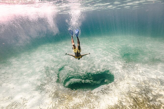 Reef and Shipwreck Snorkeling Tour in Cancun - Common Questions