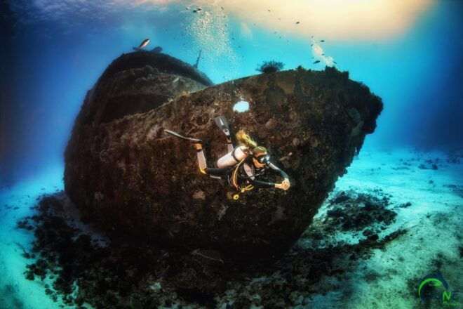 Reef Diving in Playa Del Carmen - Requirements and Restrictions
