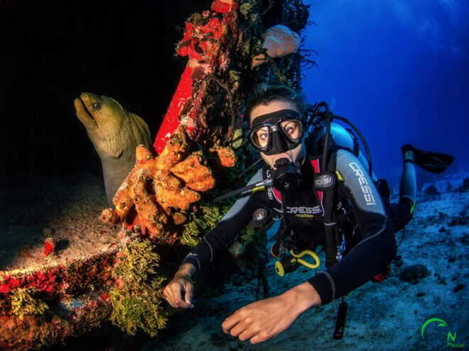 Reef Diving in Playa Del Carmen - Customer Feedback