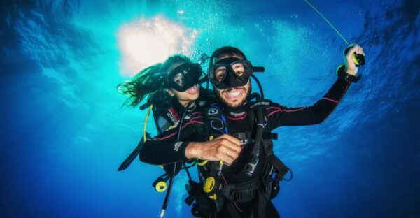 Reef Diving in Playa Del Carmen - Pricing and Availability