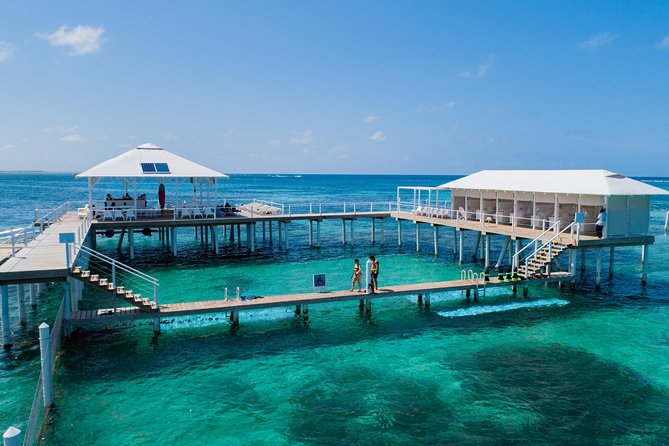 Reef Explorer Multiple Activity Excursion From Punta Cana by Marinarium - Cancellation Policy