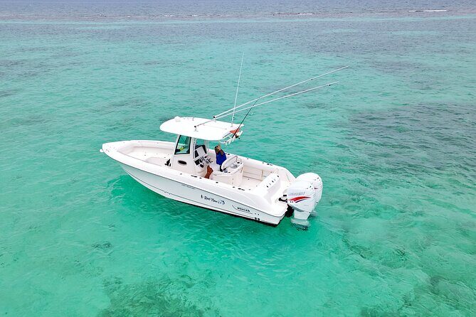 Reef Fishing Adventure Over Coral Reefs - Good To Know