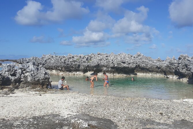 Reef Island Private Tour - Tour Overview