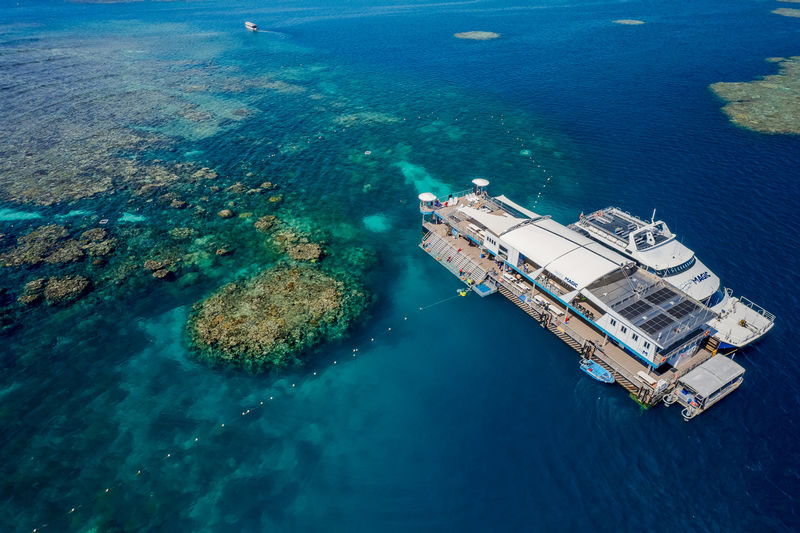 Reef Magic Pontoon Cruise Tour from Cairns - From Cairns to the Outer Reef