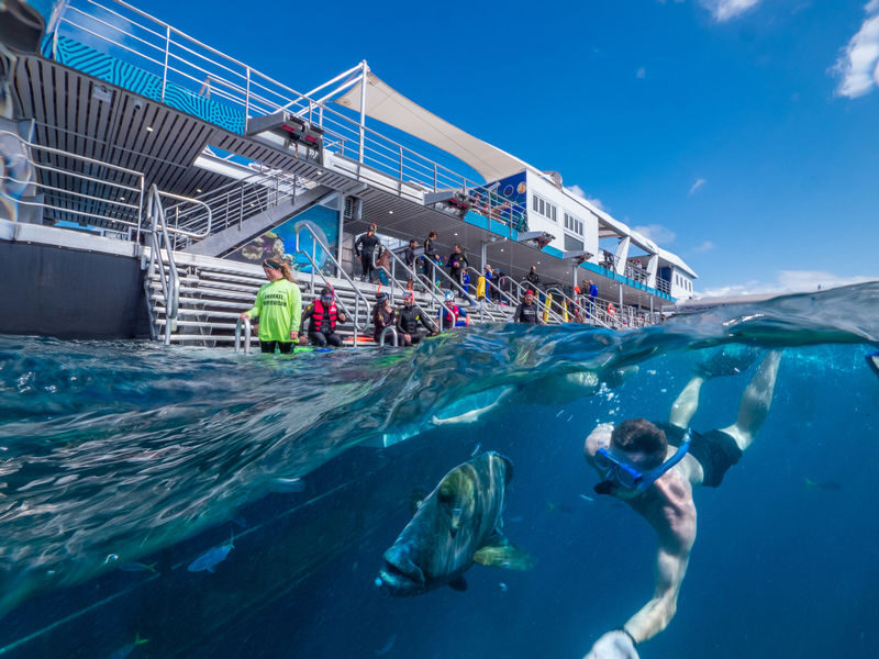 Reef Magic Pontoon Cruise Tour from Cairns - Five hours, with room to choose your pace
