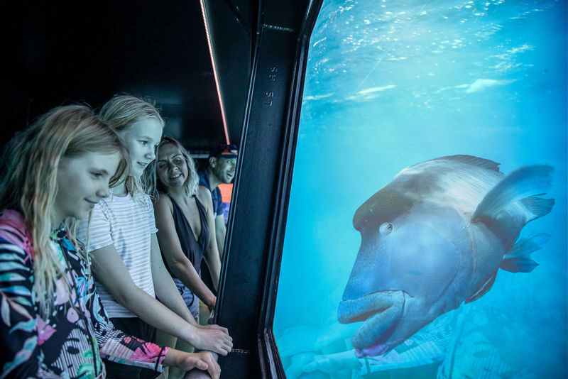 Reef Magic Pontoon Cruise Tour from Cairns - The underwater observatory and reef talks